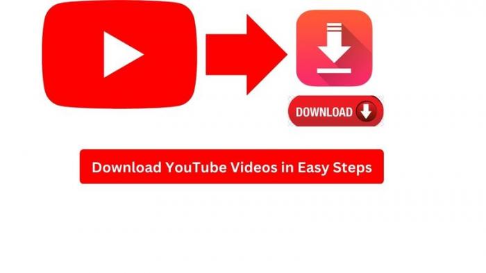 Y2Maye: The Ultimate Tool for Fast and Easy Video Downloads
